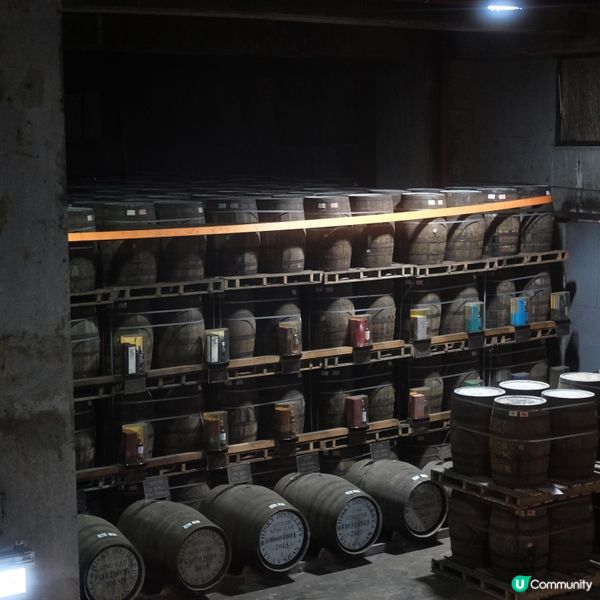 宜蘭包車遊記🚗  輕鬆玩遍景點！🤩