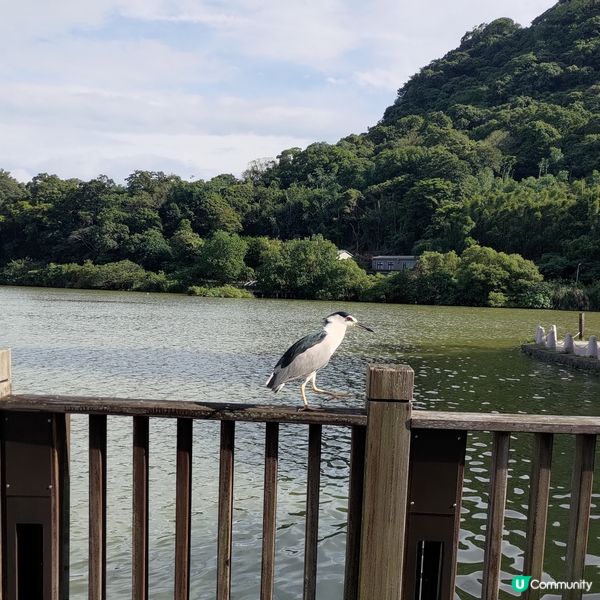 ## 台北必去打卡點！大湖公園靚到爆💥