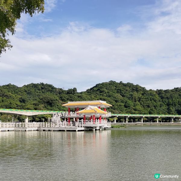 ## 台北必去打卡點！大湖公園靚到爆💥