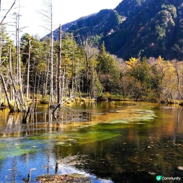 秋天🍁上高地，神仙住嘅隱世の地！🤩