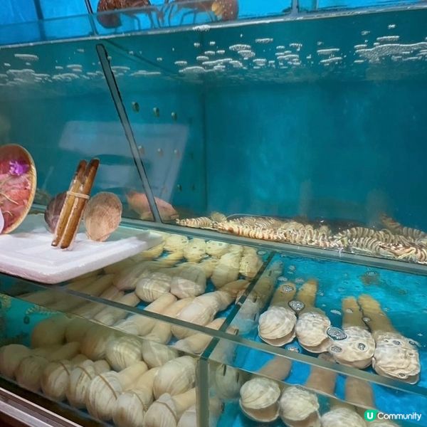 養生滋潤花膠雞湯火鍋😘🌸