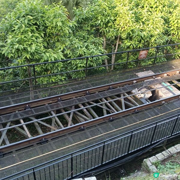 重陽登高⛰️ 纜車遊太平山 🚡