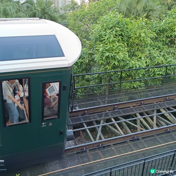 重陽登高⛰️ 纜車遊太平山 🚡