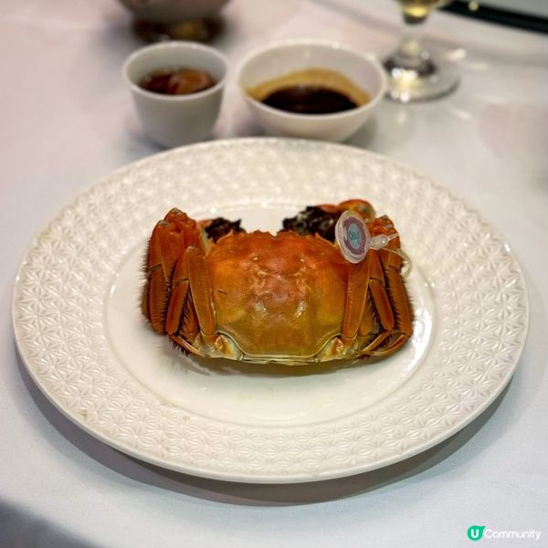 菊黃蟹肥@富豪酒家