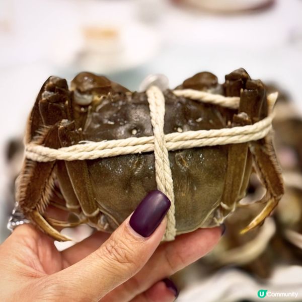 菊黃蟹肥@富豪酒家