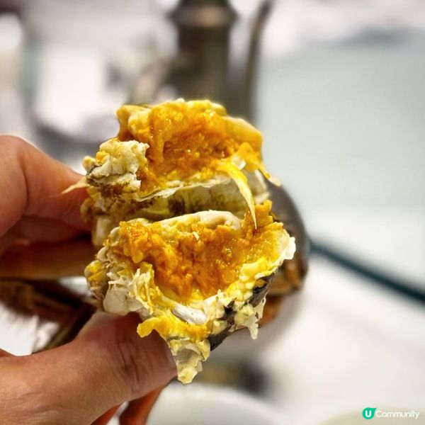 菊黃蟹肥@富豪酒家