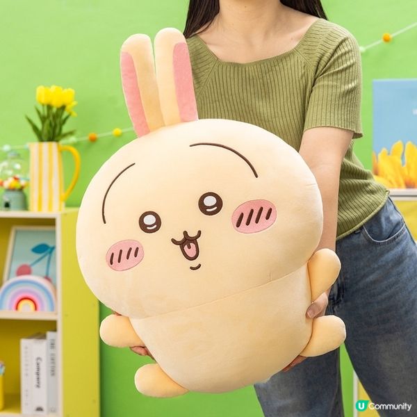 日本Usagi一番賞💛💛