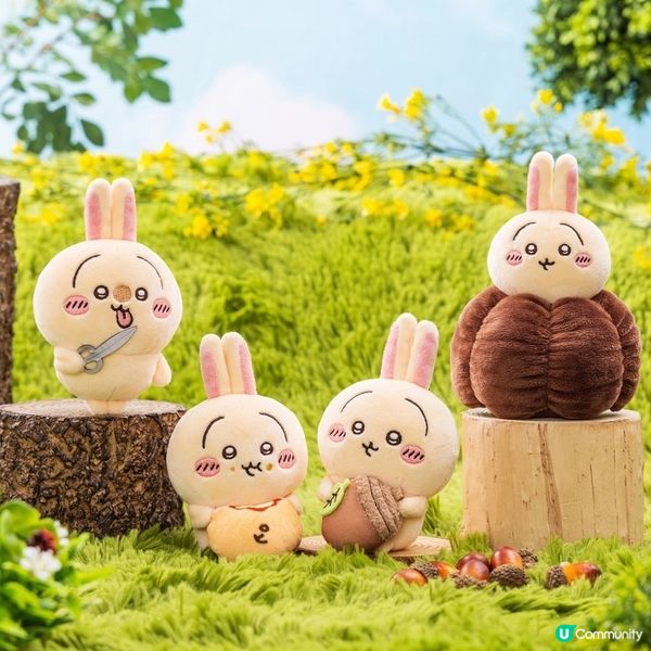 日本Usagi一番賞💛💛