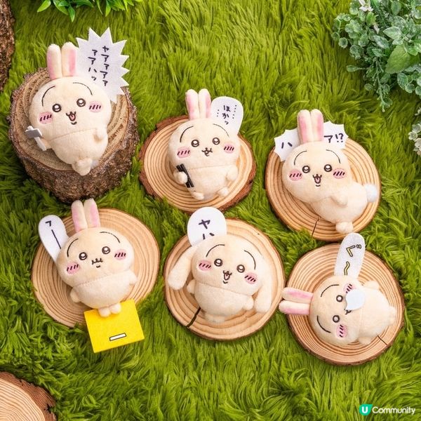 日本Usagi一番賞💛💛