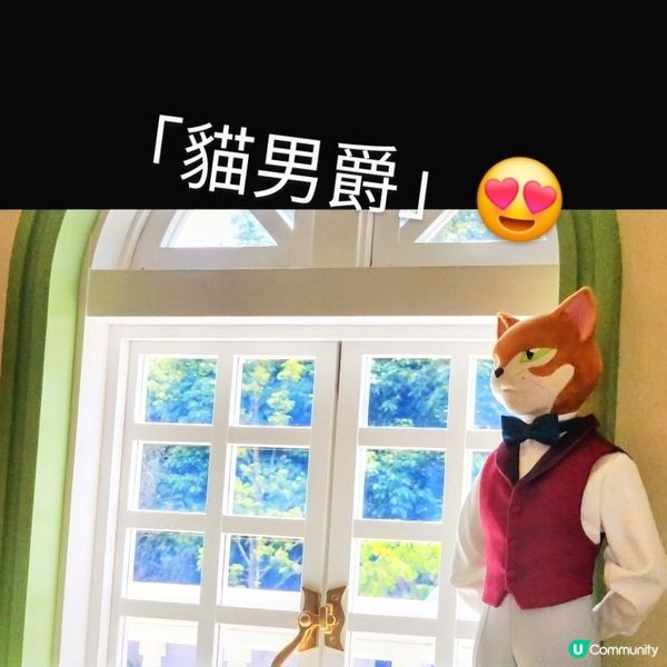 ㊙️吉卜力公園~青春之丘😱貓男爵我來啦‼️