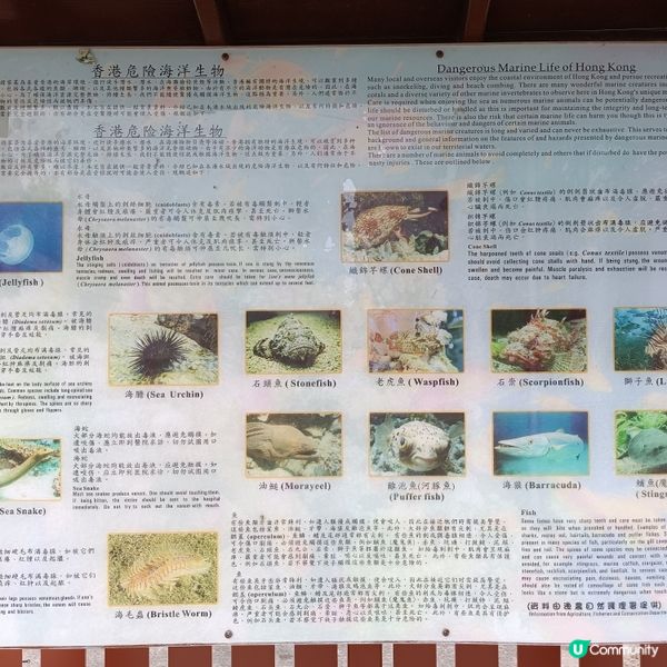 週末去貝澳露營，放鬆身心 🏕️