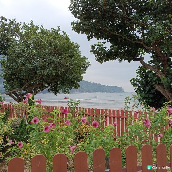 週末去貝澳露營，放鬆身心 🏕️