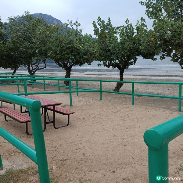 週末去貝澳露營，放鬆身心 🏕️