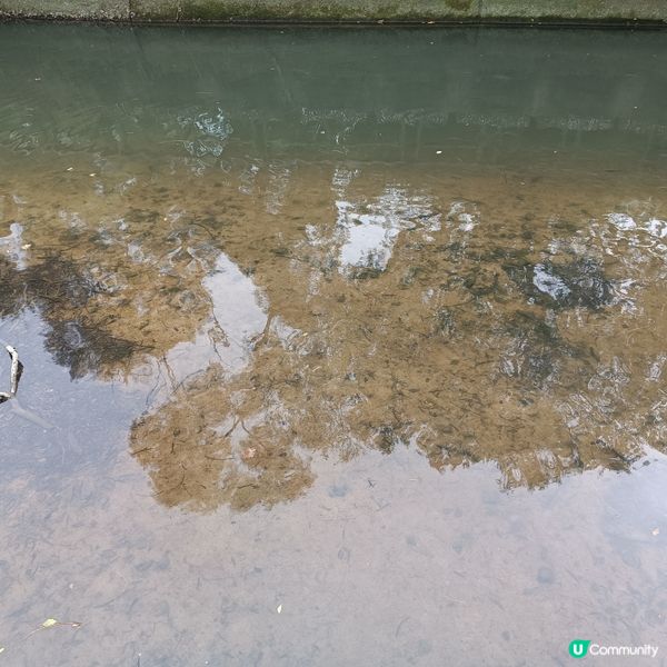 週末去貝澳露營，放鬆身心 🏕️