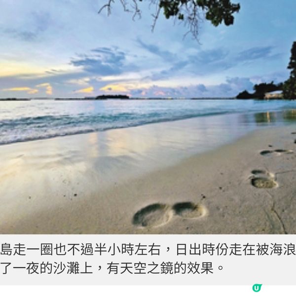 盲盒旅行團獨家隨團直擊馬爾代 夫班度士島與鯊同游