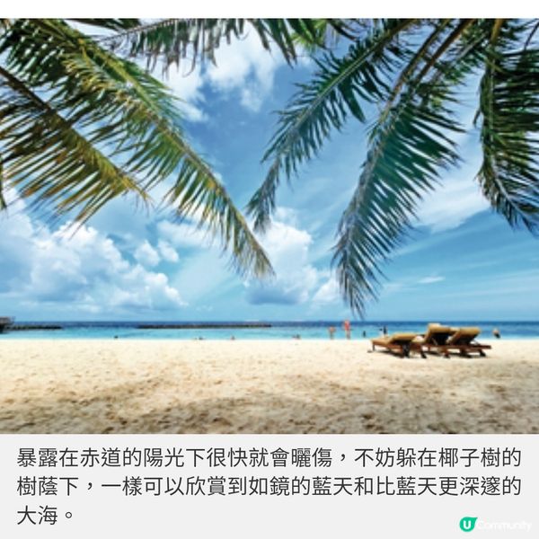 盲盒旅行團獨家隨團直擊馬爾代 夫班度士島與鯊同游