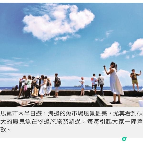 盲盒旅行團獨家隨團直擊馬爾代 夫班度士島與鯊同游