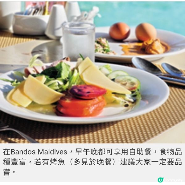 盲盒旅行團獨家隨團直擊馬爾代 夫班度士島與鯊同游