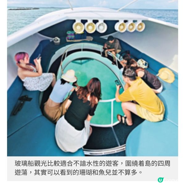盲盒旅行團獨家隨團直擊馬爾代 夫班度士島與鯊同游
