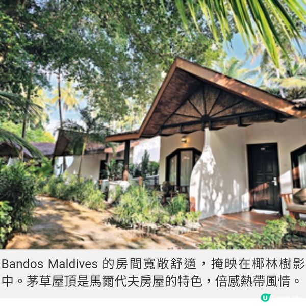 盲盒旅行團獨家隨團直擊馬爾代 夫班度士島與鯊同游