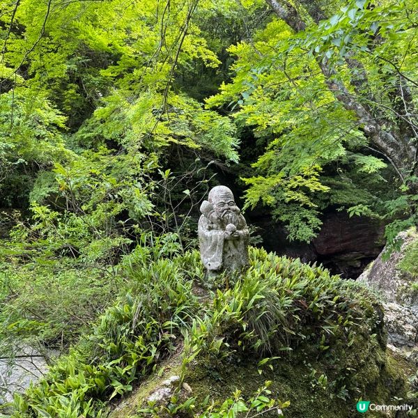 中津溪谷県立公園