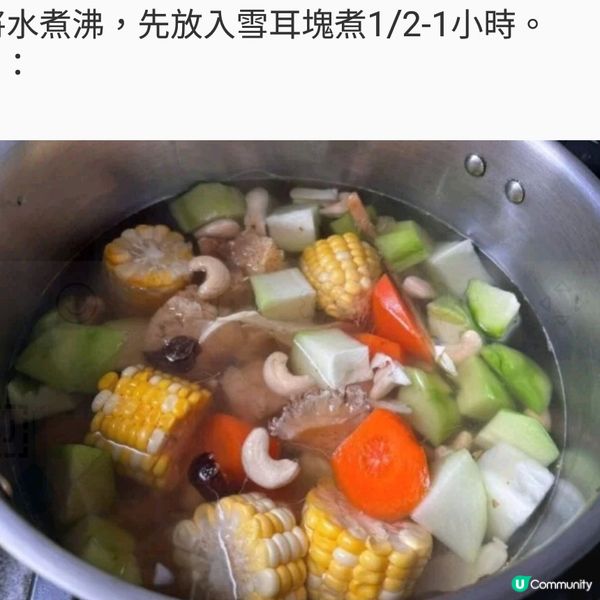 湯水食譜｜沙參玉竹佛手瓜腰果素湯