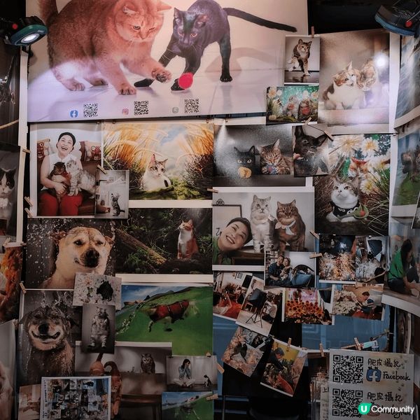 荔枝角D2 Place市集每星期都有不同攤檔，當中除了賣手作...