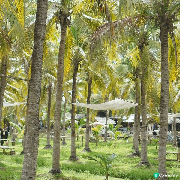 清邁周末限定市集 椰林市集 Ba Pao Flea Mark...