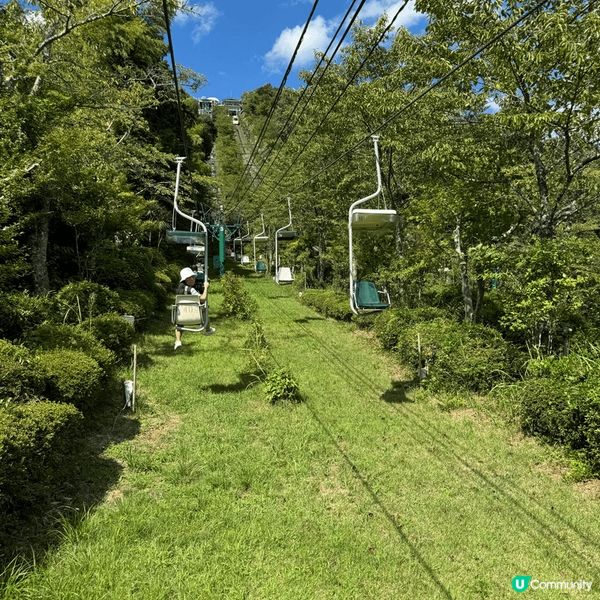 可以選擇纜車或者chair lift 上去天橋立傘松公園，嗰...