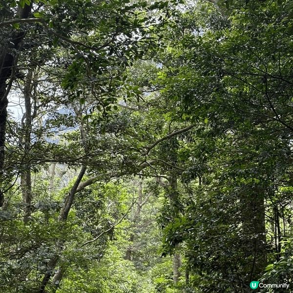 天朗氣清，去昂坪搭纜車360啦～～，欣賞風景，欣賞事物，投身...