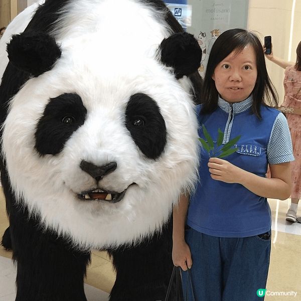 給「大熊貓」來個小型「頭盤」令「牠」在中秋時節「笑口常開」之...