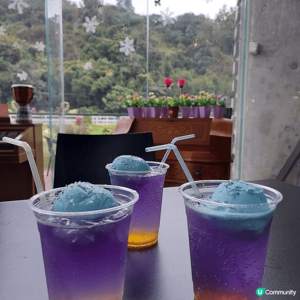 蝶豆花園，呢度可以睇羊駝，欣賞靚花靚景，仲有小朋友遊樂場，入...