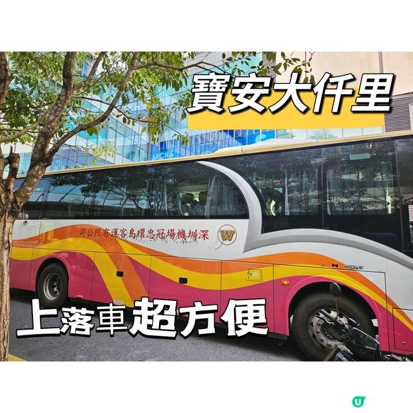 直通車🚌 點對點直達深圳