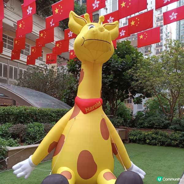 學生身心健康，齊來支持！💪❤️