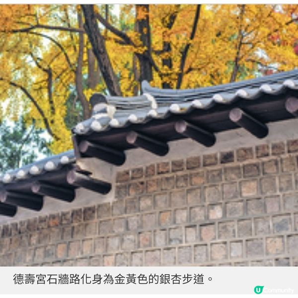 秋楓起!首爾5大超方便紅葉打卡點