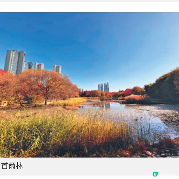 秋楓起!首爾5大超方便紅葉打卡點