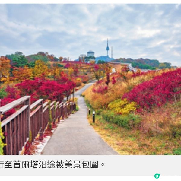 秋楓起!首爾5大超方便紅葉打卡點