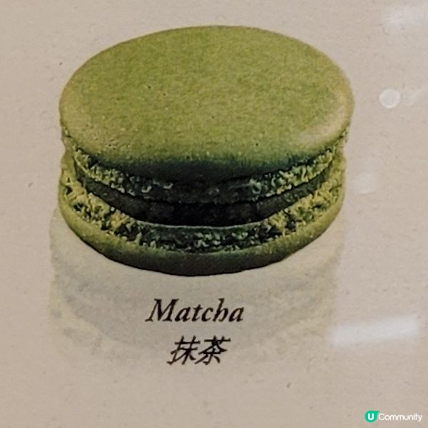TeaWG macha 抹茶馬卡龍