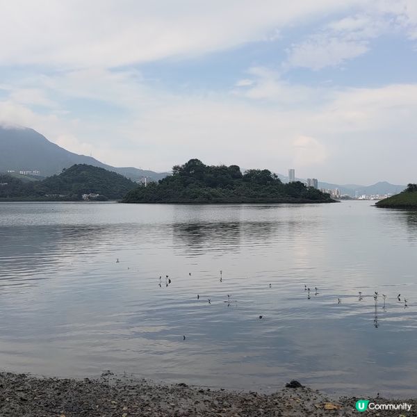 ##週末去新娘潭鹿頸打卡，逃離煩囂！親親大自然🌿🚶‍♀️