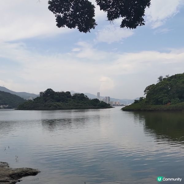 ##週末去新娘潭鹿頸打卡，逃離煩囂！親親大自然🌿🚶‍♀️