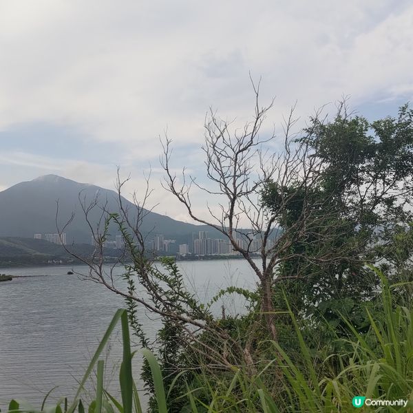 ##週末去新娘潭鹿頸打卡，逃離煩囂！親親大自然🌿🚶‍♀️