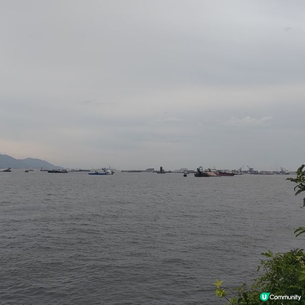 ##週末去新娘潭鹿頸打卡，逃離煩囂！親親大自然🌿🚶‍♀️