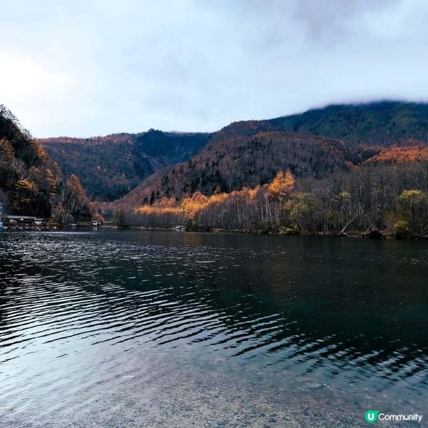 上高地大正池🌄  晨曦如夢