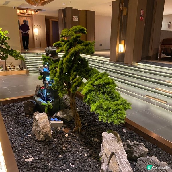 深圳揼骨之旅🤩 免費任飲任食