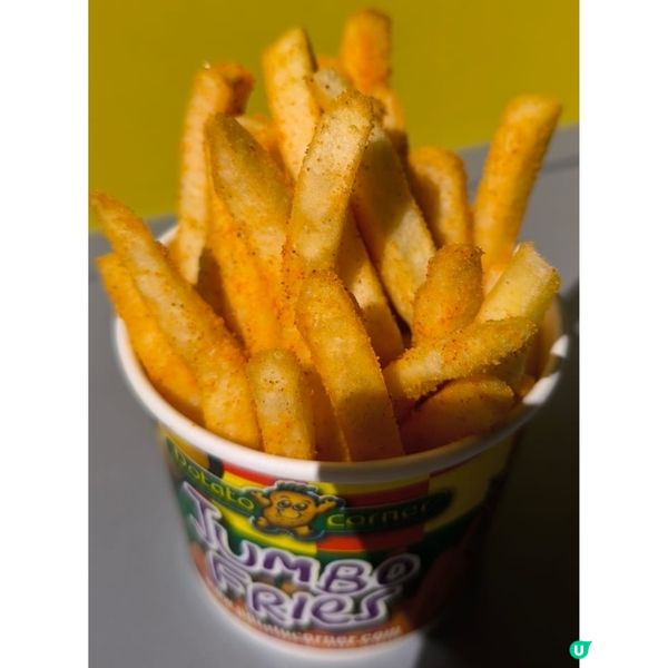 辣得好過癮嘅菲律賓薯條