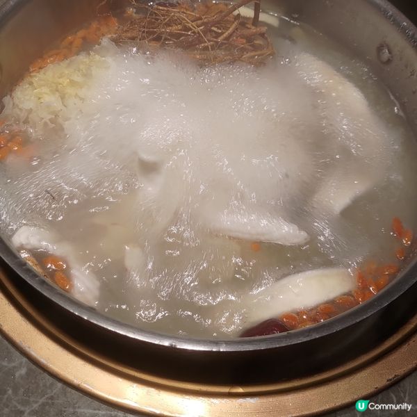 深圳必食🔥 中山鮮脆鯇魚火鍋🐟🫕