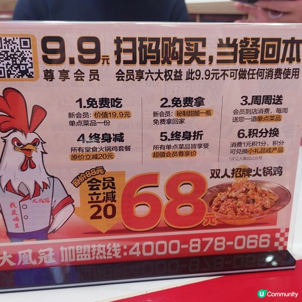 🔥大鳳冠火鍋雞，抵食到爆！🐔