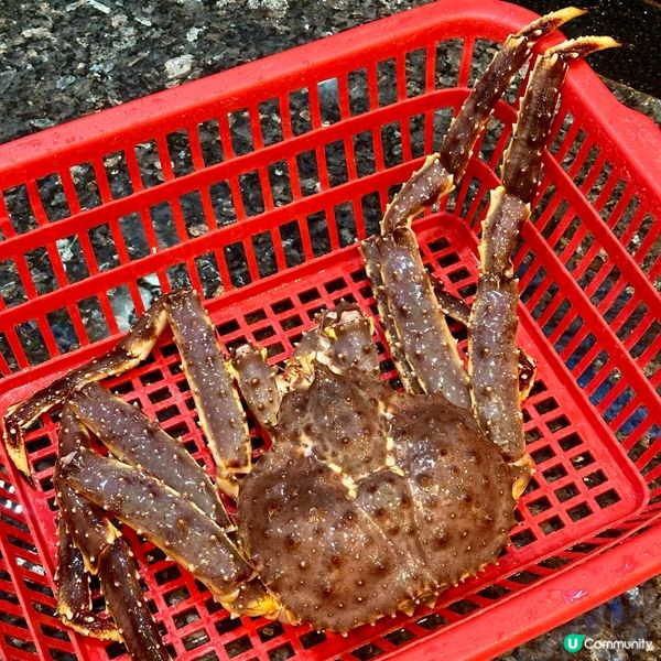 秋風起，食阿拉斯加長腳蟹 🦀