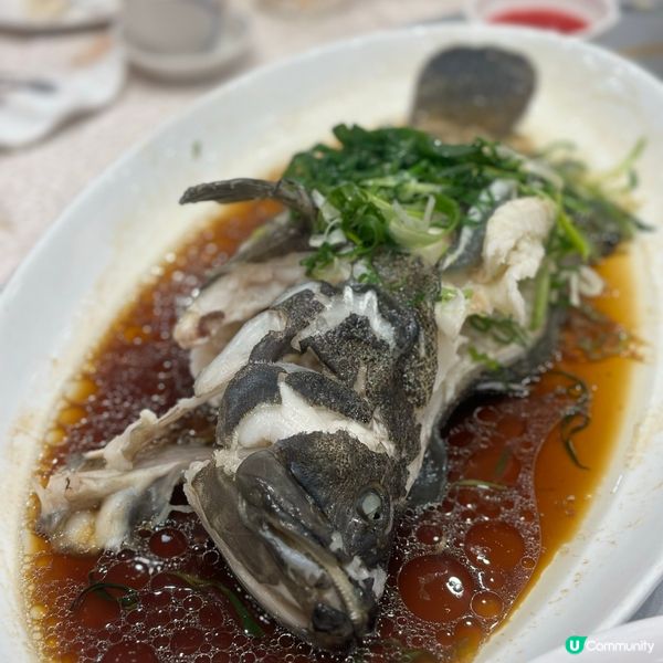 秋風起，食阿拉斯加長腳蟹 🦀