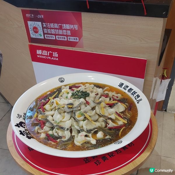 威高廣場，玩樂購物一站式！🤩